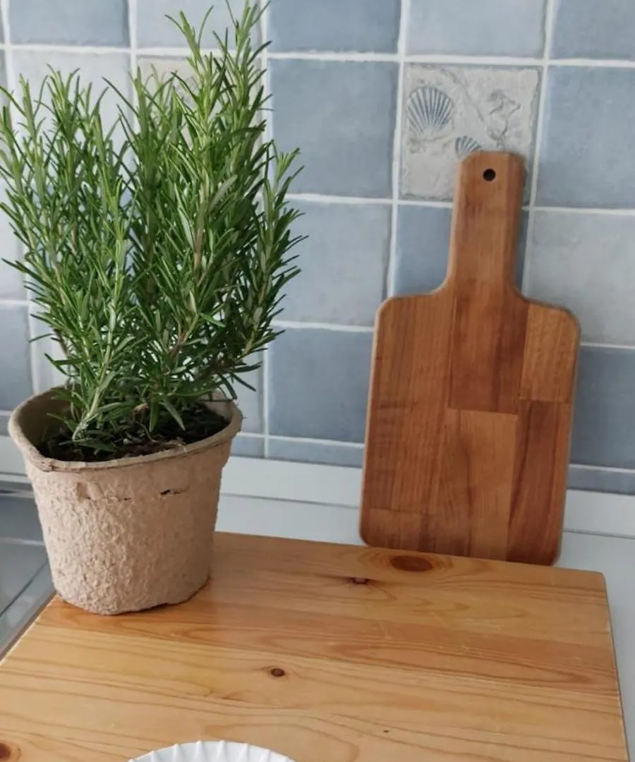 Apartment Appartamenti Le Conchiglie Sottomarina Chioggia Italy